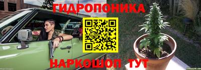 молекула духа Можга
