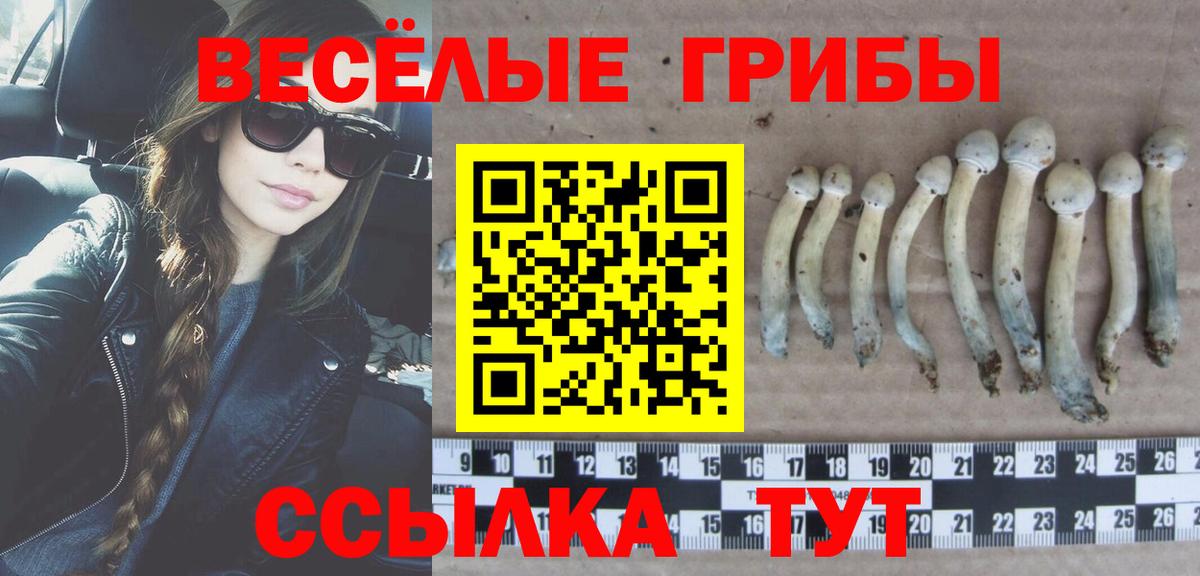 Галлюциногенные грибы Psilocybine cubensis  Галлюциногенные грибы MAGIC MUSHROOMS  Хасавюрт  Вход с VPN 
