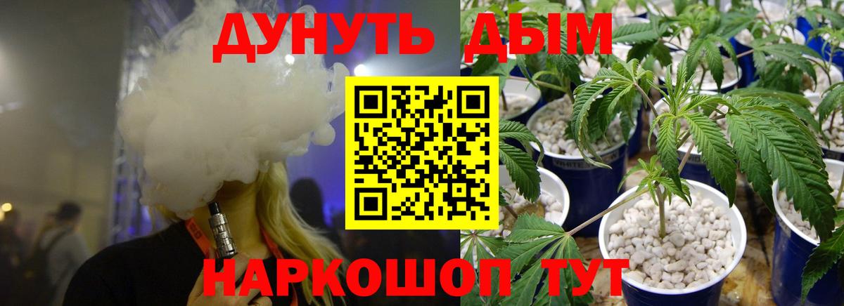 Каннабис план  Канабис OG Kush  Вход с VPN  Хасавюрт  Каннабис конопля 
